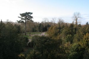 Le Bosquet de la Reine, nommé Bosquet de Vénus du temps de Marie-Antoinette. C'est là que Jeanne de La Motte-valois organisa le rendez-vous entre Rohan et la fausse reine. Il n'y avait pas de statue de vénus. Les arbres qu'on y trouve sont des essences introduites en France à son époque et constituent l'intérêt du bosquet.